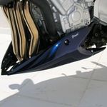 Sabot moteur Ermax YAMAHA FZ1/FZ1 1000 FAZER 2006/2011
