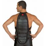 Protections Dainese NEW BAP 2000/7