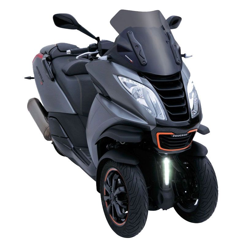 Pare brise Ermax Sport