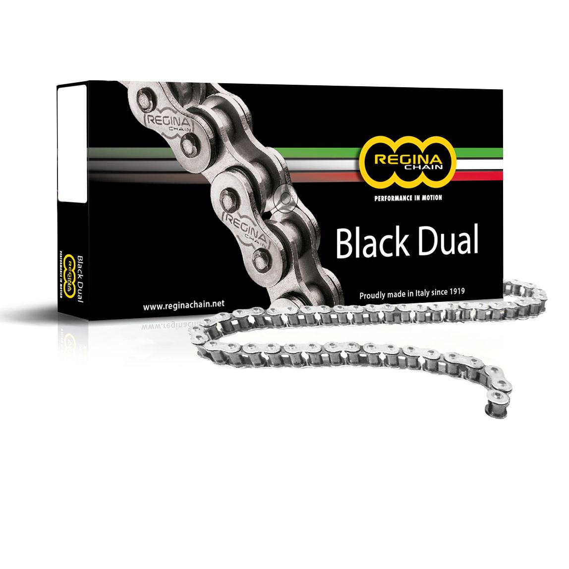 Chaîne Regina 520 ZRA 110 MAILLONS