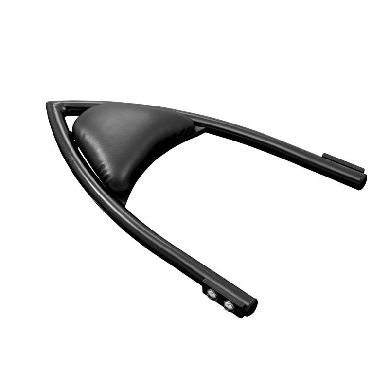 Sissy bar Highway Hawk Arch complet
