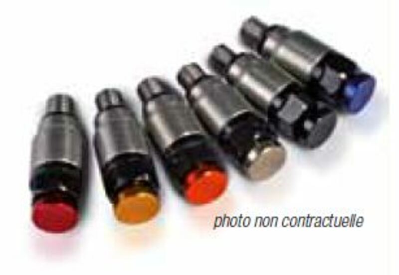 Purgeurs de fourche Bihr EN INOX POUR KAYABA/SHOWA M5X0.8