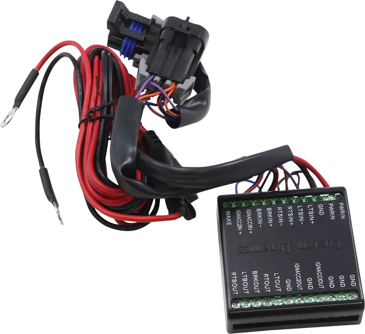 Faisceau Plug&Play Custom Dynamics Module isolateur