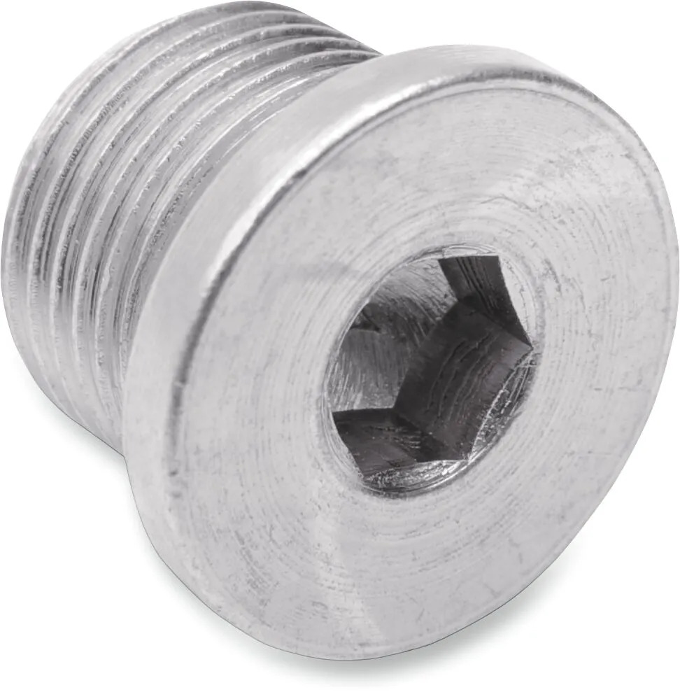 Bouchon de port de sonde O2 Drag Specialties 18610562
