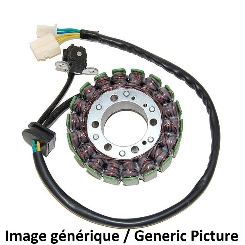 Stator d'allumage Electrosport