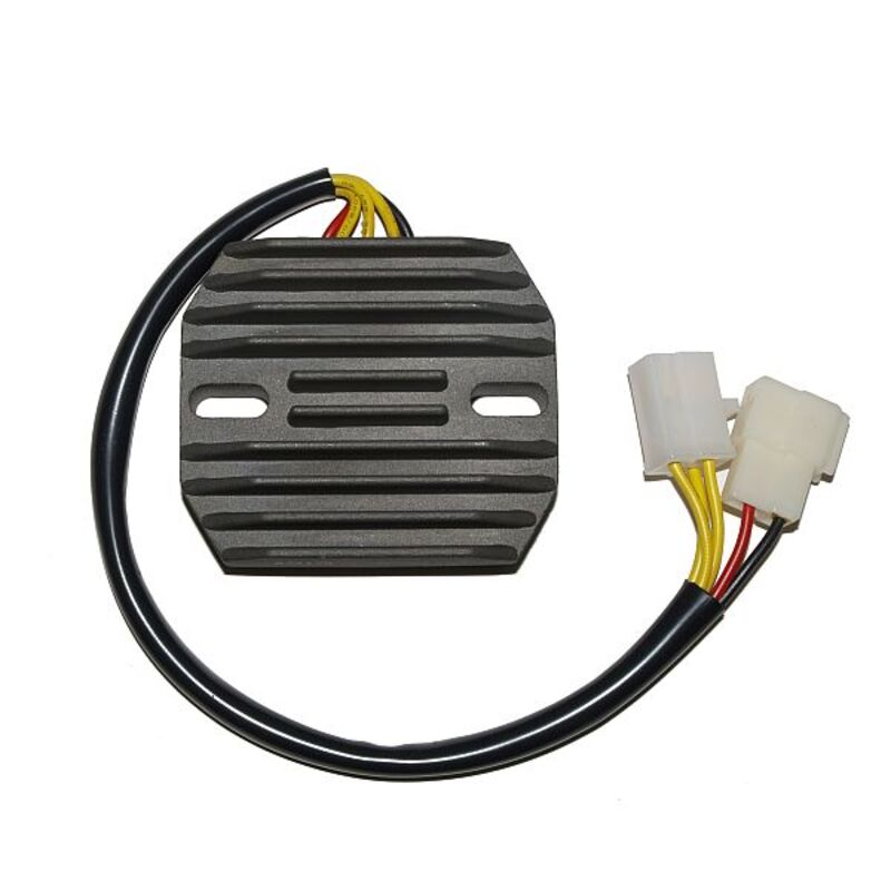 Centralina elettronica Electrosport Regolatore