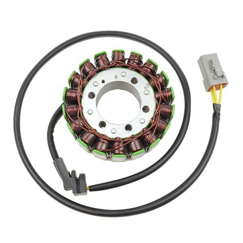 Ignition stator Electrosport Cam Am