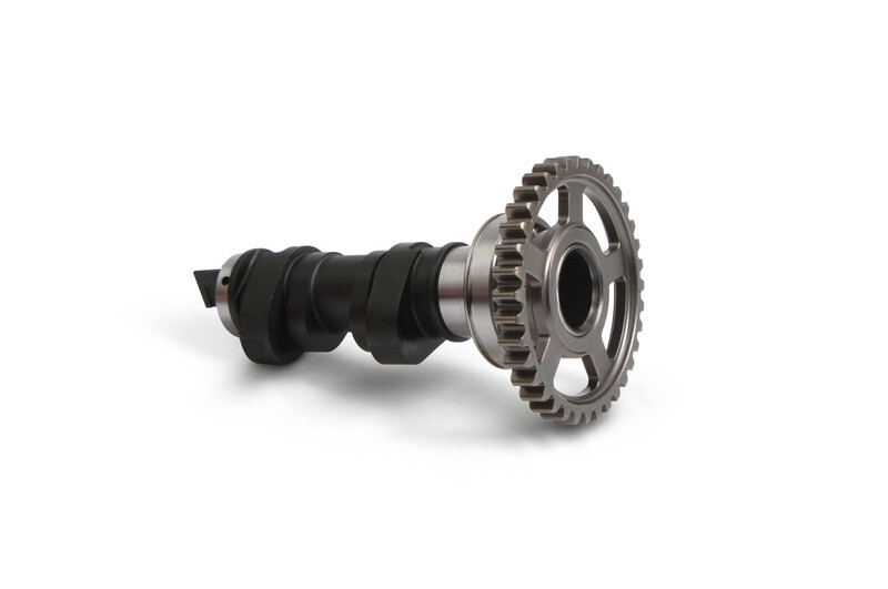 Camshaft Hotcams single - level 1