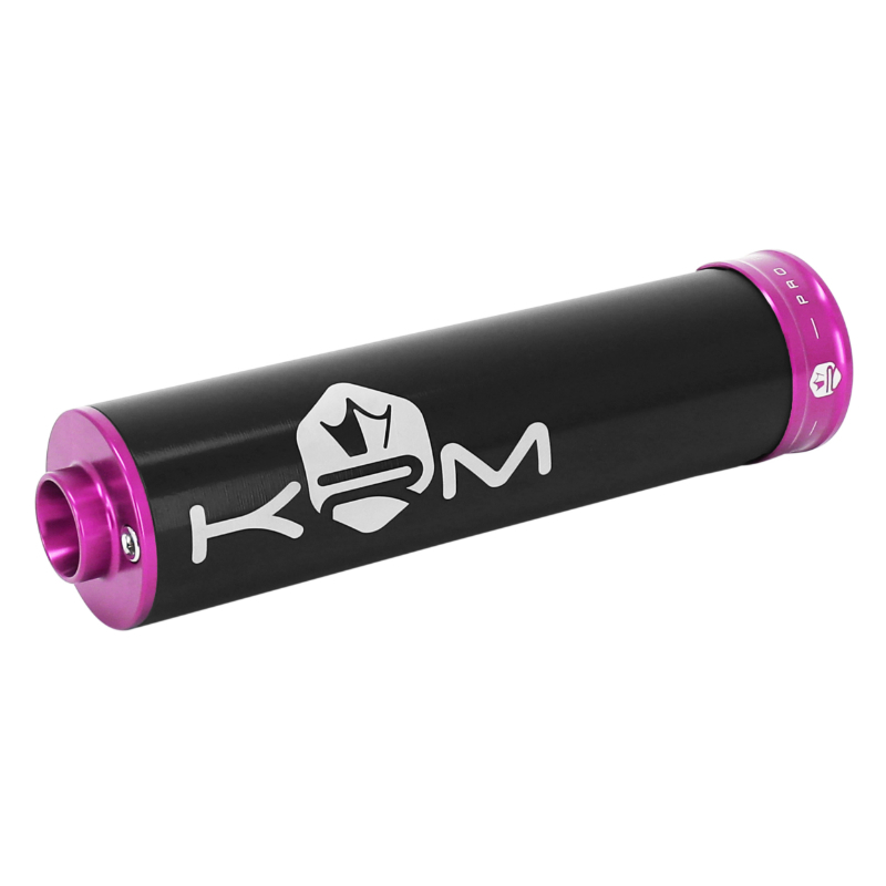 Silencieux KRM 207831
