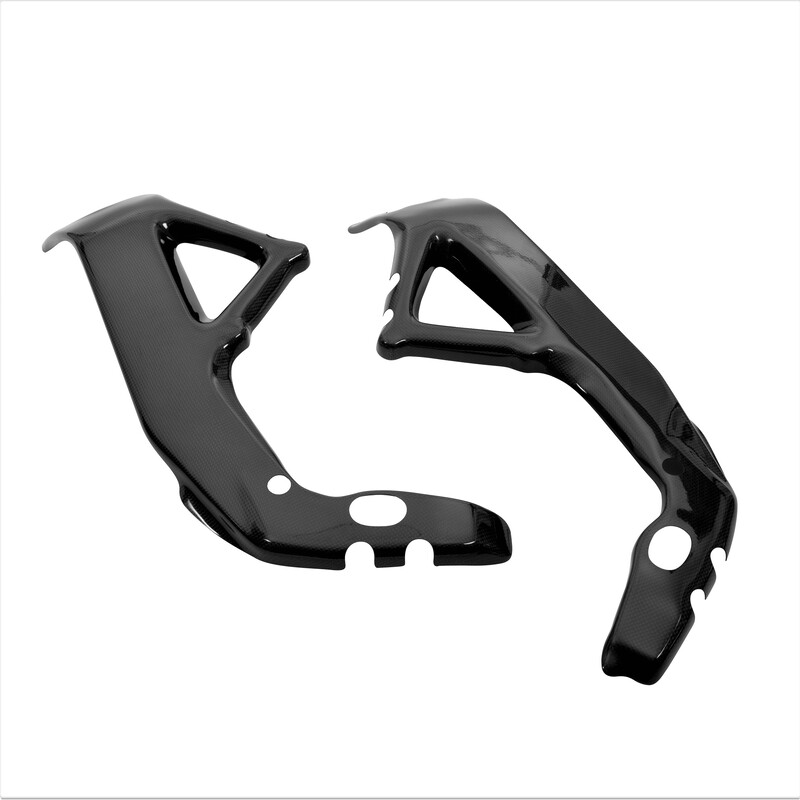 Pare-carter LighTech de cadre carbone brillant