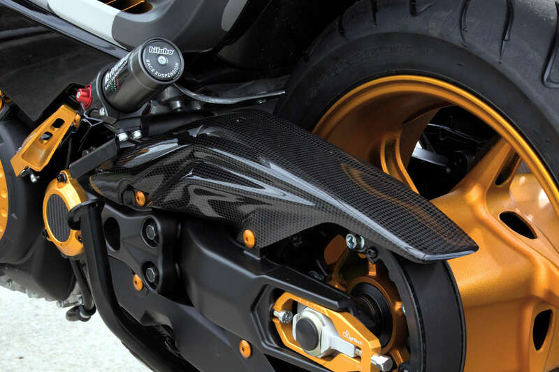 Protège couronne LighTech Carter de courroie carbone brillant