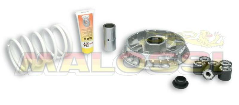 Variateur Malossi Multivar 2000