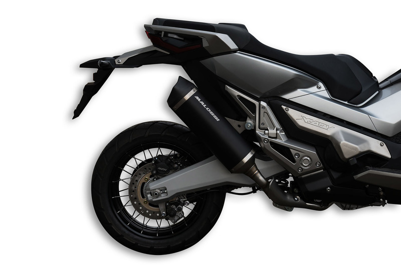 Silencieux Malossi Wild lion