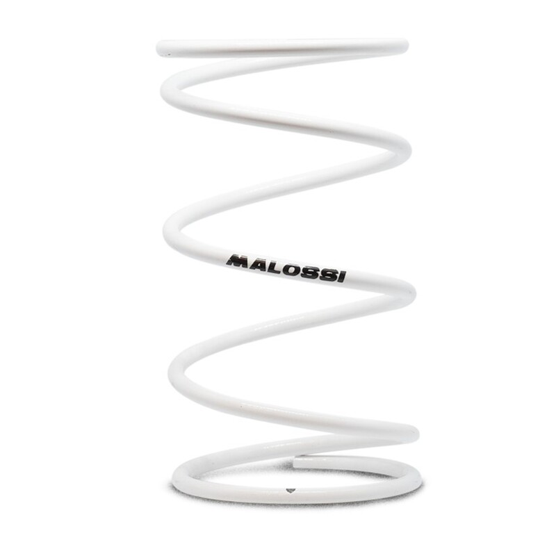 Ressort de poussée Malossi renforcé