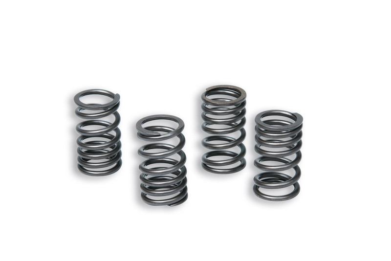 Ressorts d'embrayage Malossi Jeu de renforcés Racing Ø15mm - 31,5mm