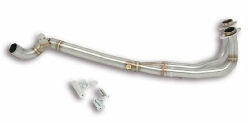 Collecteur Malossi Wild Lion