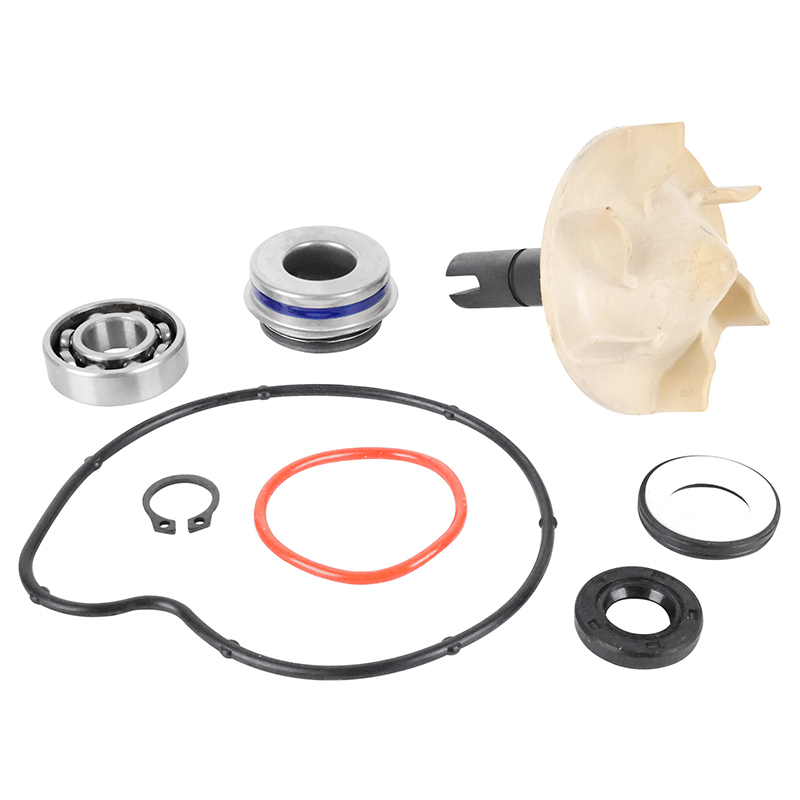 Kit réparation pompe à eau Magneti Marelli MAXISCOOTER