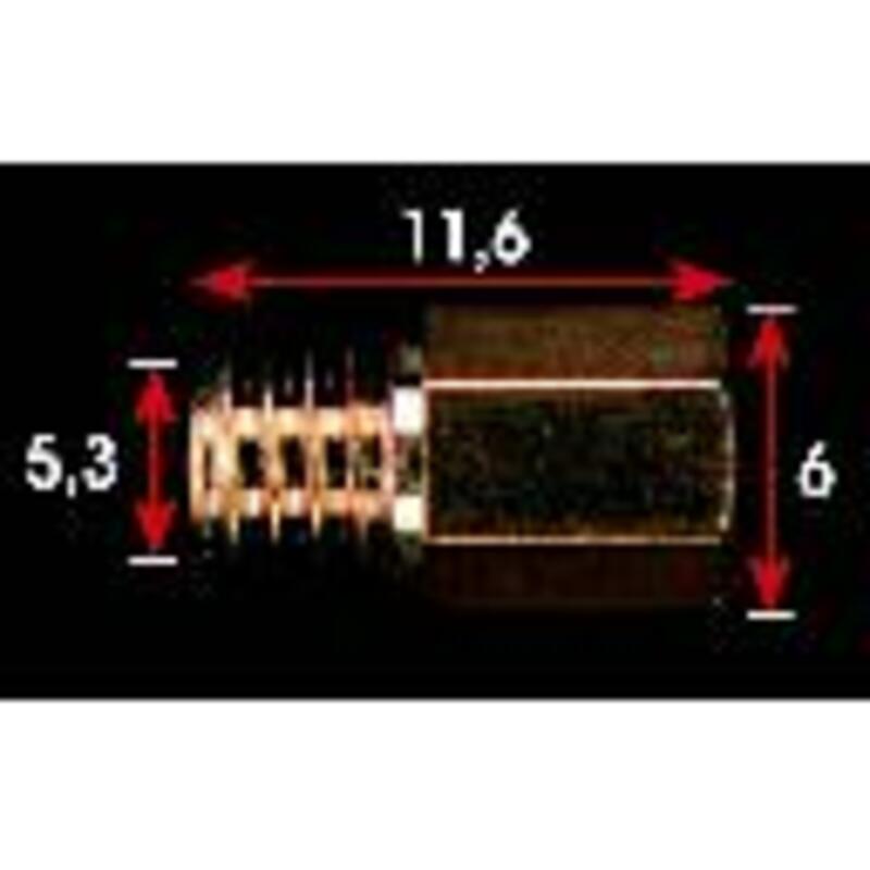 Gicleur Mikuni MKA300