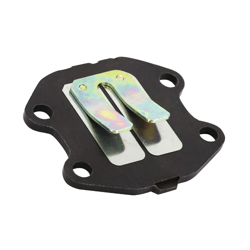 Clapet P2R 206012