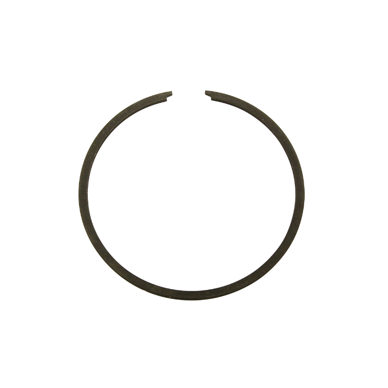 Segments P2R 51,41 CLUB,MAGNUM RACING,PASSION 39,00 x 1mm IDEM BIDALOT