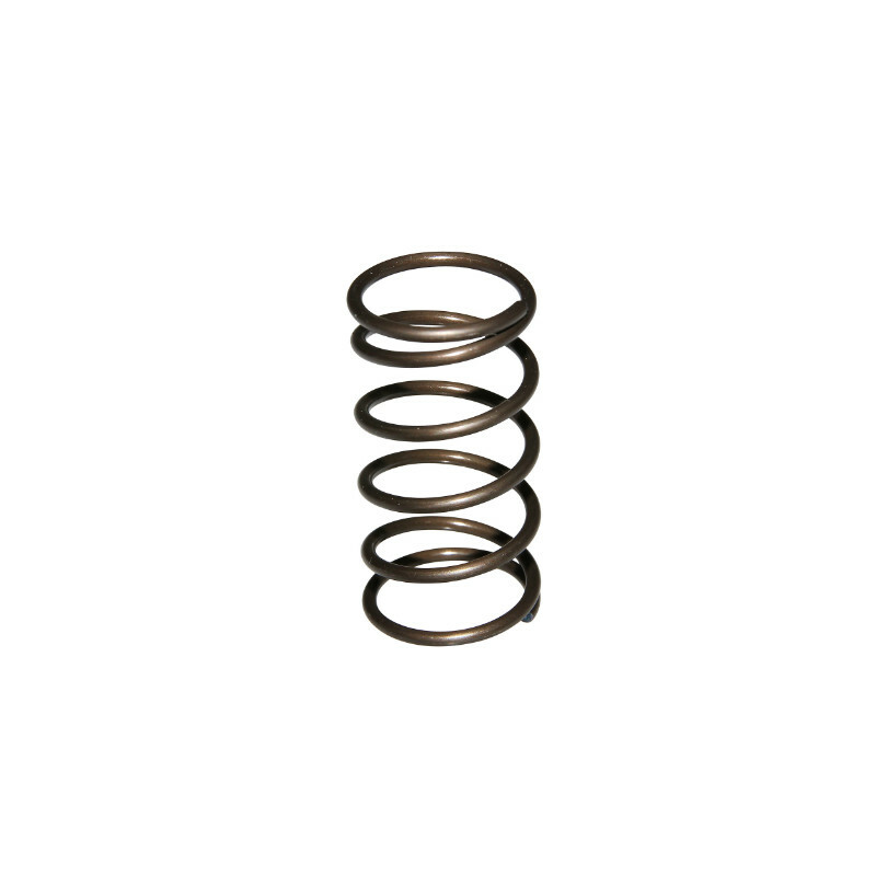 Pivot cache moteur P2R RESSORT