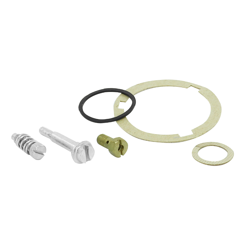Kit réparation de carburateur P2R 171816