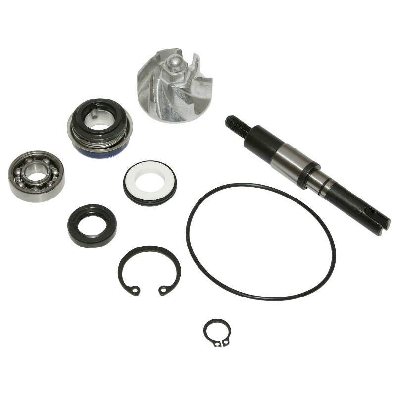 Kit réparation pompe à eau P2R KIT REPARATION POMPE A EAU MAXISCOOTER ADAPTABLE HONDA 125 SH 2001+2012, 125 PANTHEON 2003+, 125 DYLAN 2004+ (KIT) -P2R-