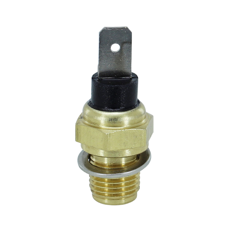 Sonde de température P2R SONDE TEMPERATURE MAXISCOOTER