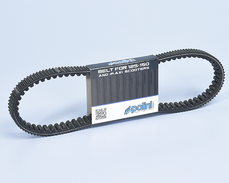 Courroie de transmission Polini