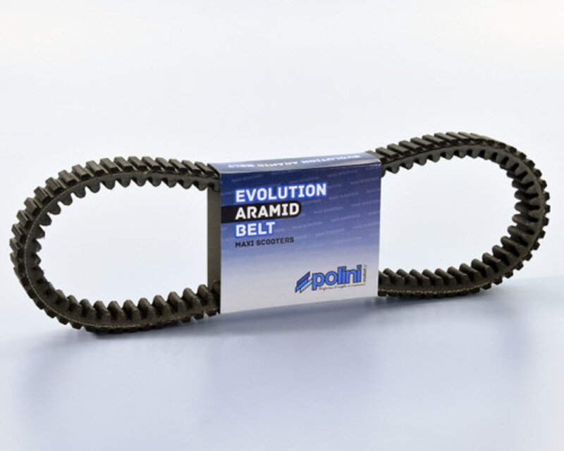 Courroie de transmission Polini variateur