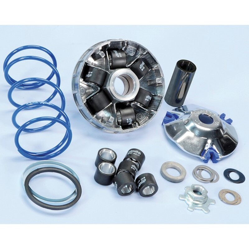 Variateur Polini Variator