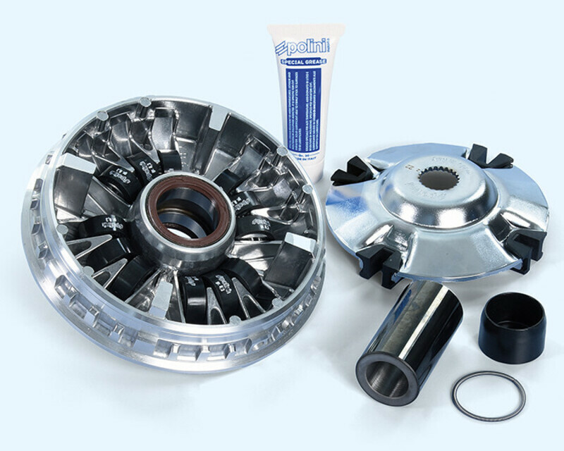 Variateur Polini 1149661
