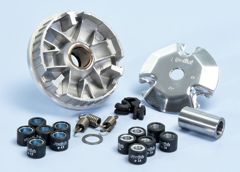 Variateur Polini 1012446