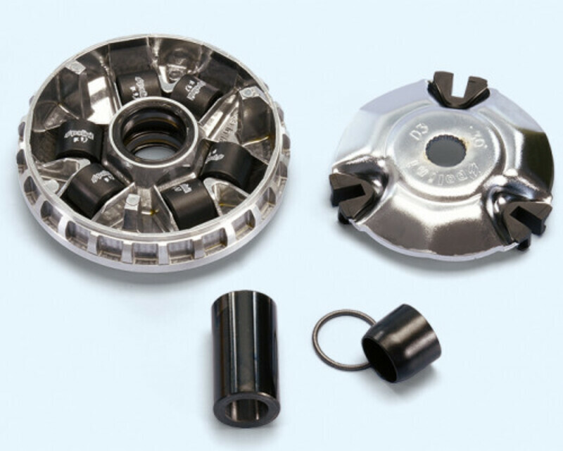 Variateur Polini 1151559