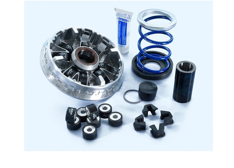Variateur Polini 1152822