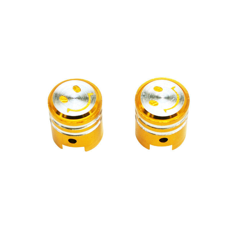 Valve Replay SCOOT - VS PISTON OR PAIRE