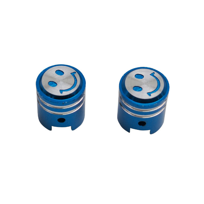 Valve Replay SCOOT - VS PISTON BLEU PAIRE