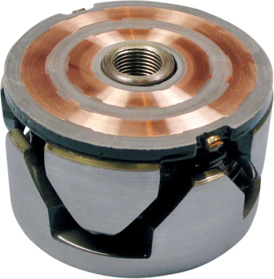 Rotor Rick's Motosport Electric 21120878