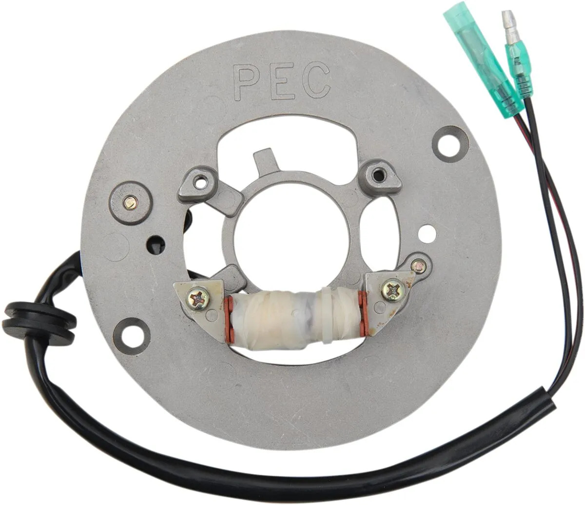 Stator d'allumage Rick's Motosport Electric 21120957