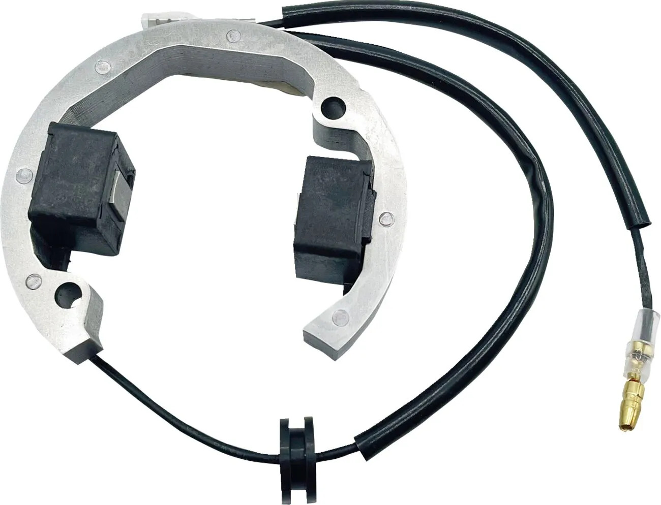 Stator d'allumage Rick's Motosport Electric 21121732