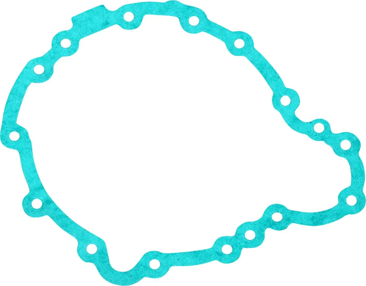 Joint de carter d'allumage Rick's Motosport Electric 09346534