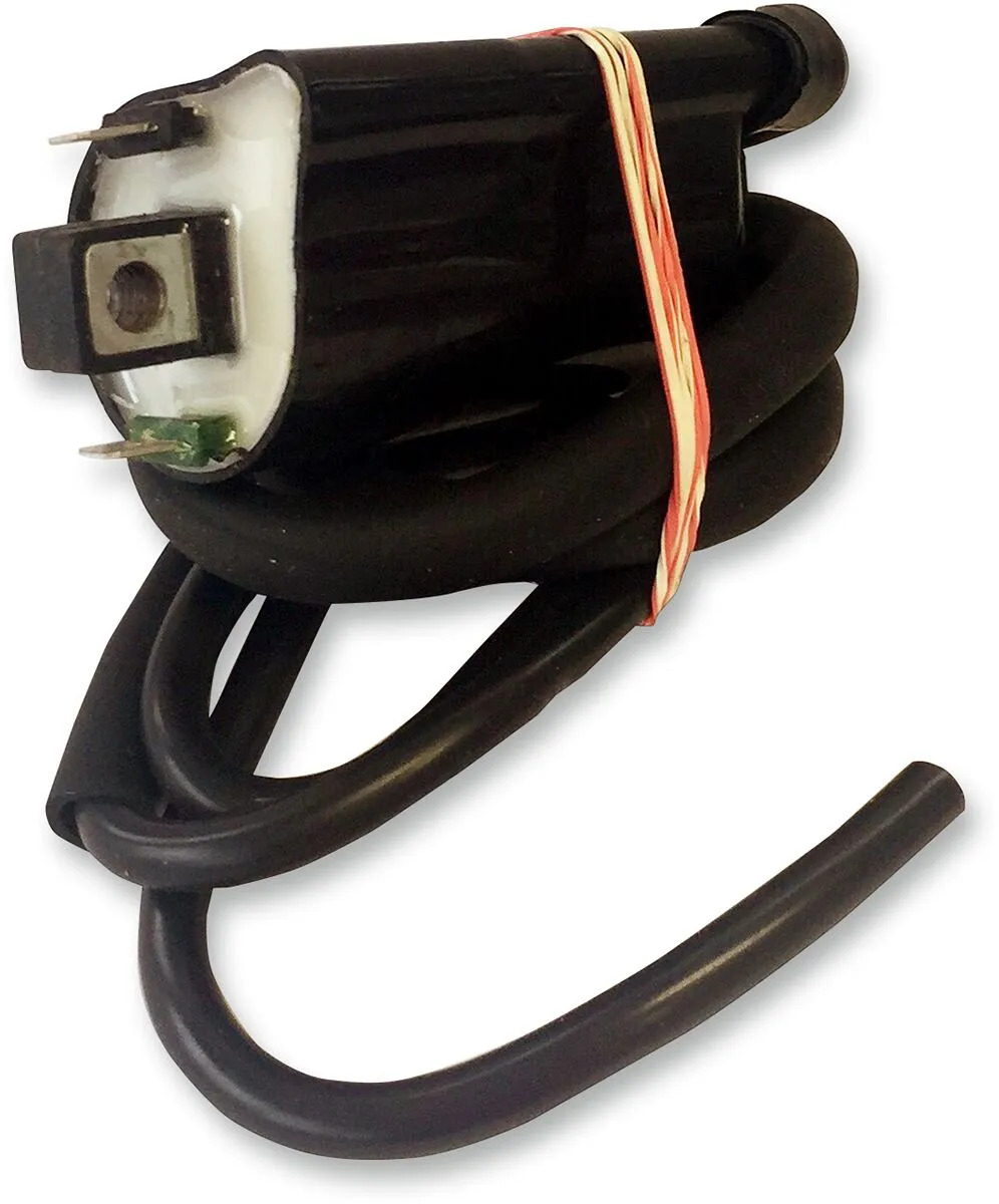 Bobine allumage Rick's Motosport Electric 21020381