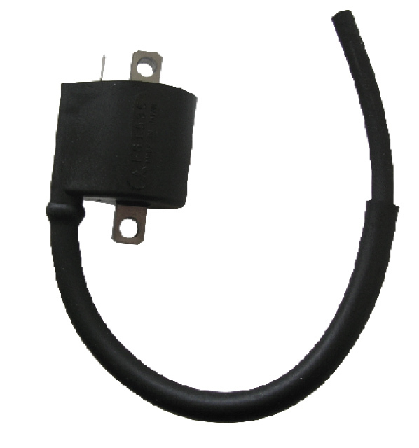 Bobine allumage SGR 161205