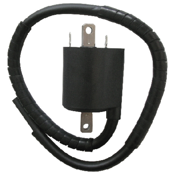 Bobine allumage SGR 161403