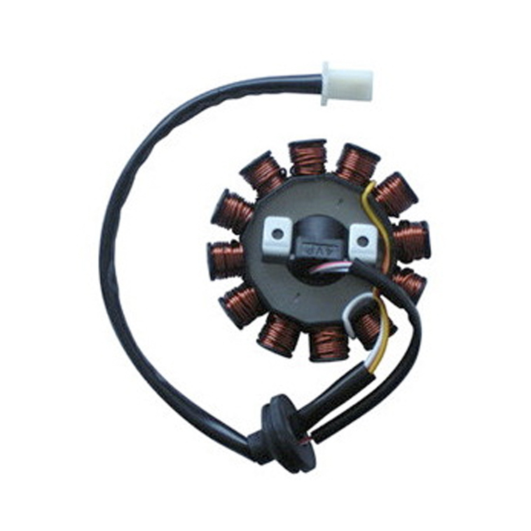 Stator d'allumage SGR 12Pôles Adapt