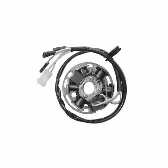 Stator d'allumage SGR 6 pôles