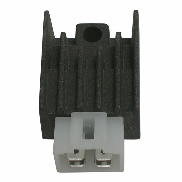 Régulateur de tension SGR 12V 50