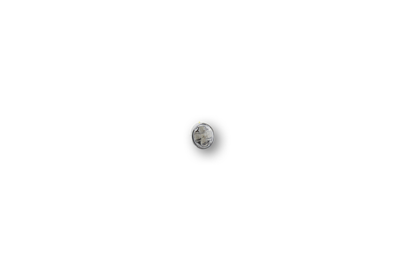 Clignotant Shin Yo s LED Micro-Oval