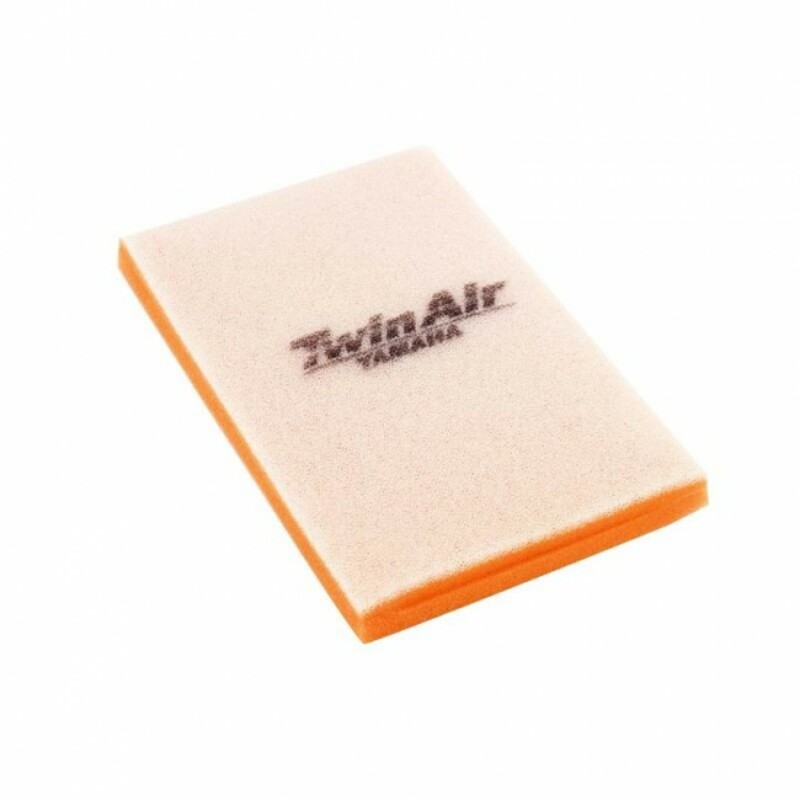 Filtre à air Twin air 152421