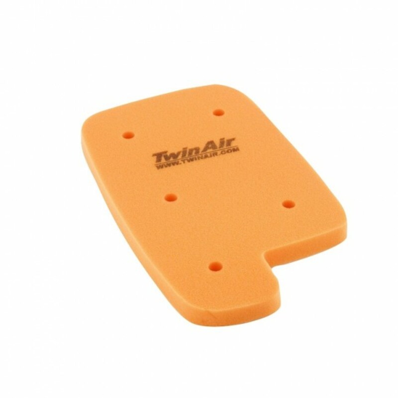 Filtre à air Twin air 158263